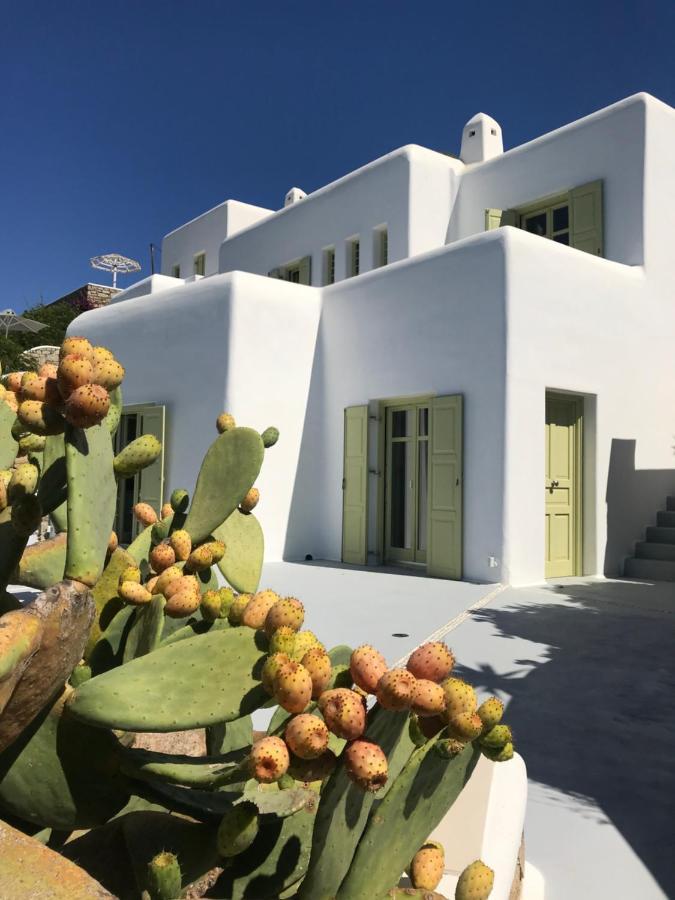 Villa Agnes Mykonos Mykonos Town Bagian luar foto